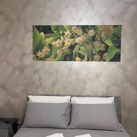 B&B Sulviale Ladispoli Ngoại thất bức ảnh